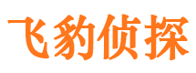 四方调查事务所